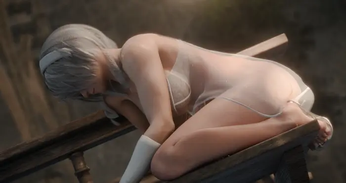 Erovirus 2026：Nier Climax Encore 【3D动漫】